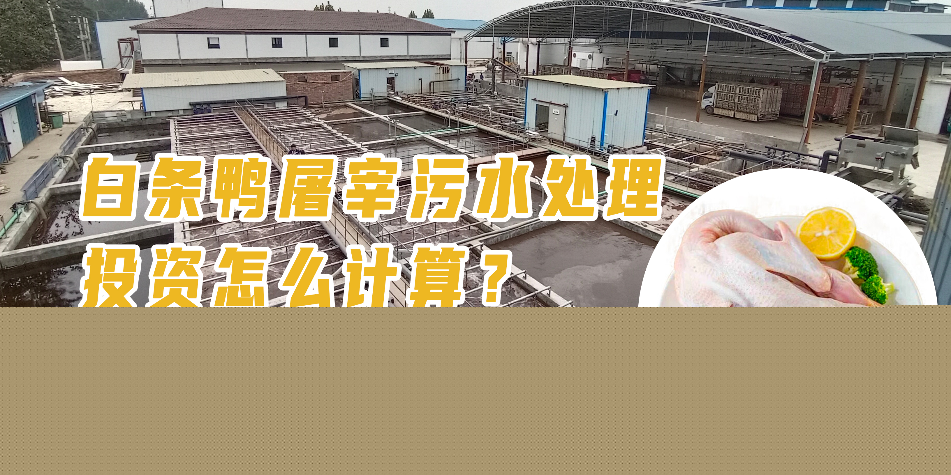 白條鴨屠宰污水處理投資怎么計(jì)算？